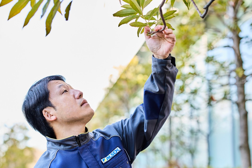 作業着を着用したスタッフが、屋外の植栽の木の枝に手を伸ばし、手入れや状態確認を行っている様子